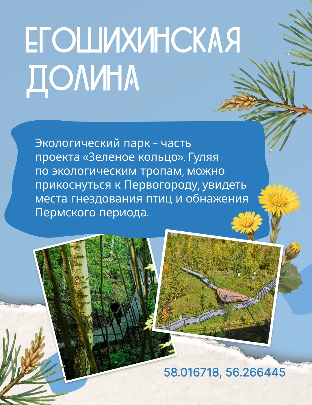 Откройте для себя уникальную красоту Прикамья! От древних скал до современных экопарков – в нашем ре