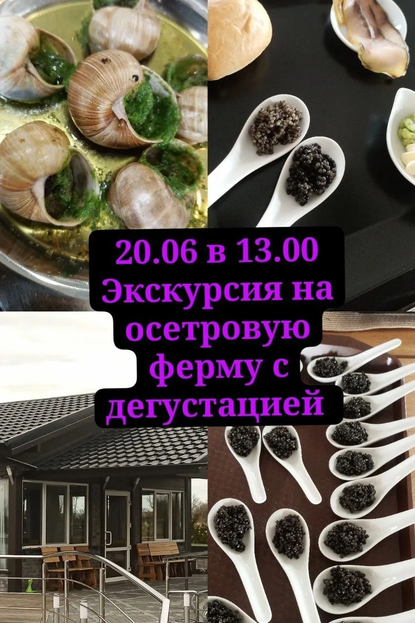 Калининградцев и гостей города приглашают на новую экскурсию «Икра, улитки, осетрина» с дегустацией 