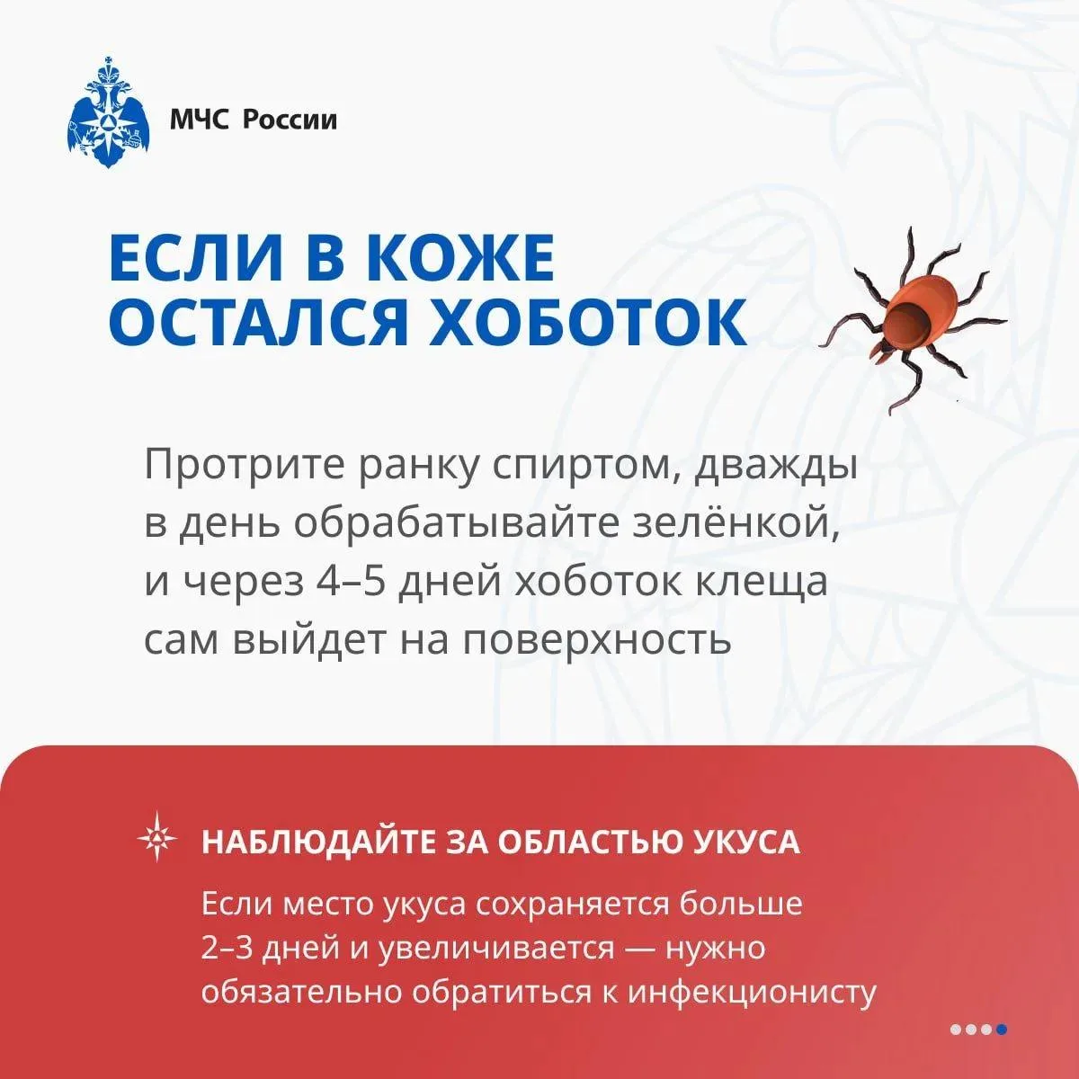🕷Опасность клещей и первая помощь

С начала года от укусов клещей пострадало 3725 человек, из них 1