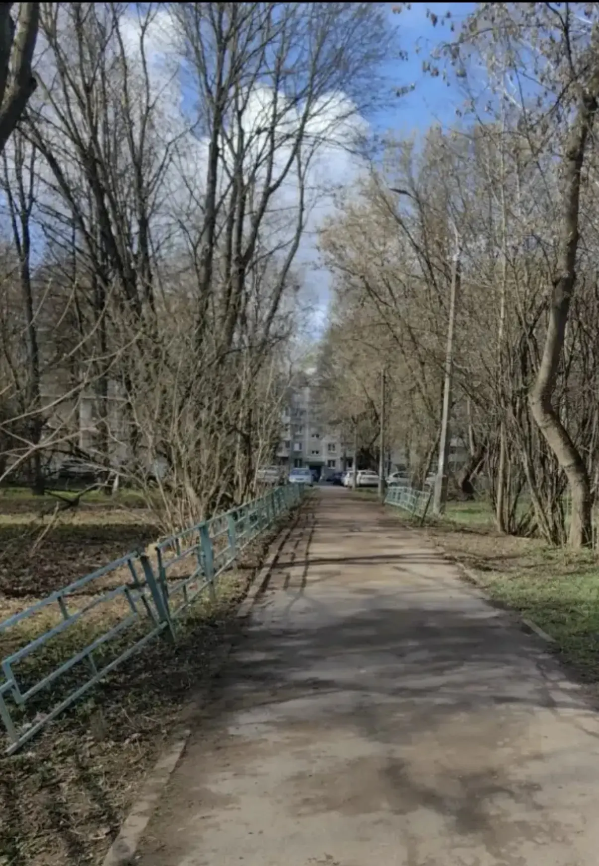 🌳 Учащиеся 8 «Бк2» класса приняли активное участие в благоустройстве общественной территории!  Вмест