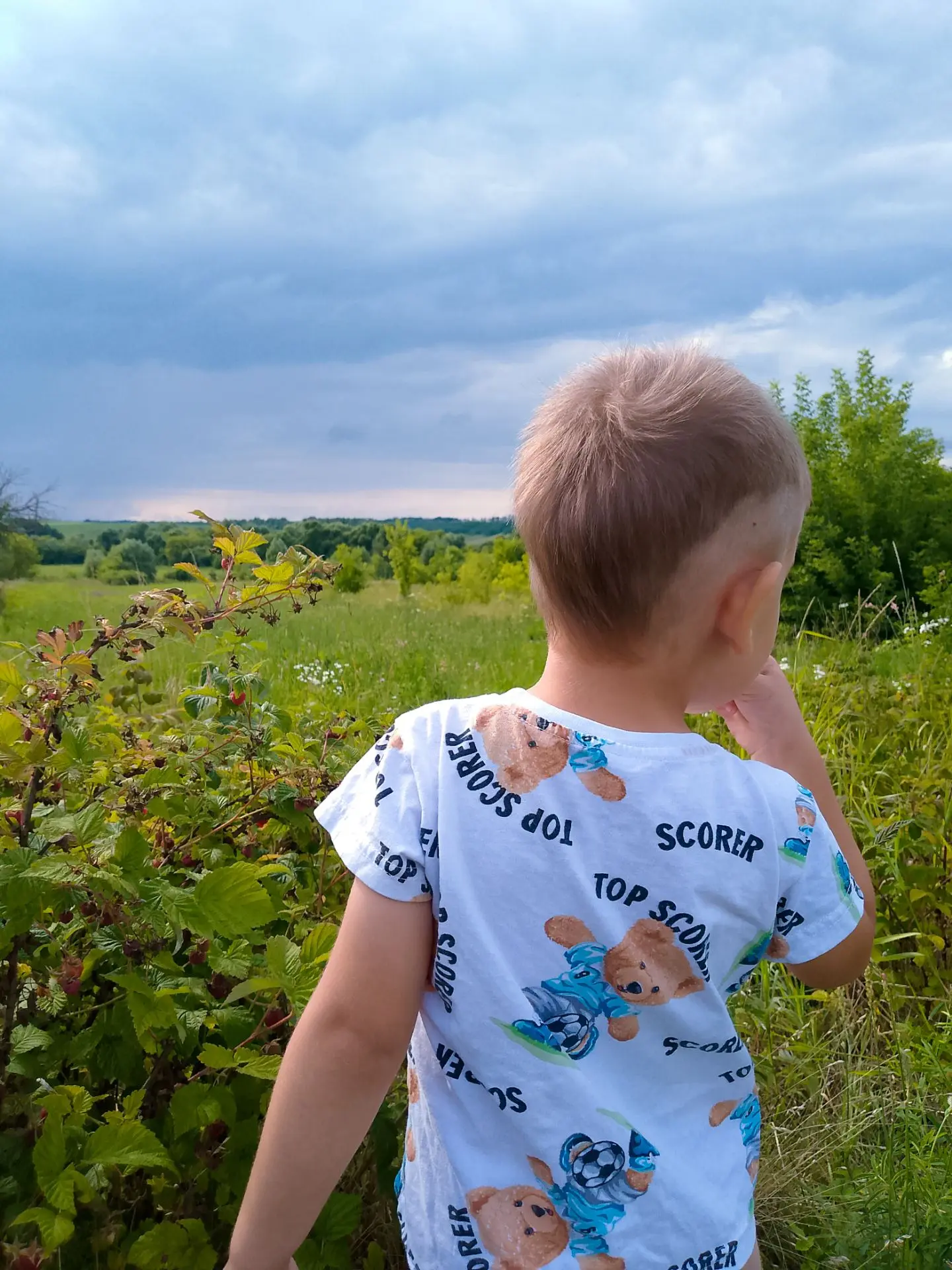 Добренькое утречко☀️

Отличного настроения!😉

Вот и новый день начинается, а я впервые не знаю, с ч