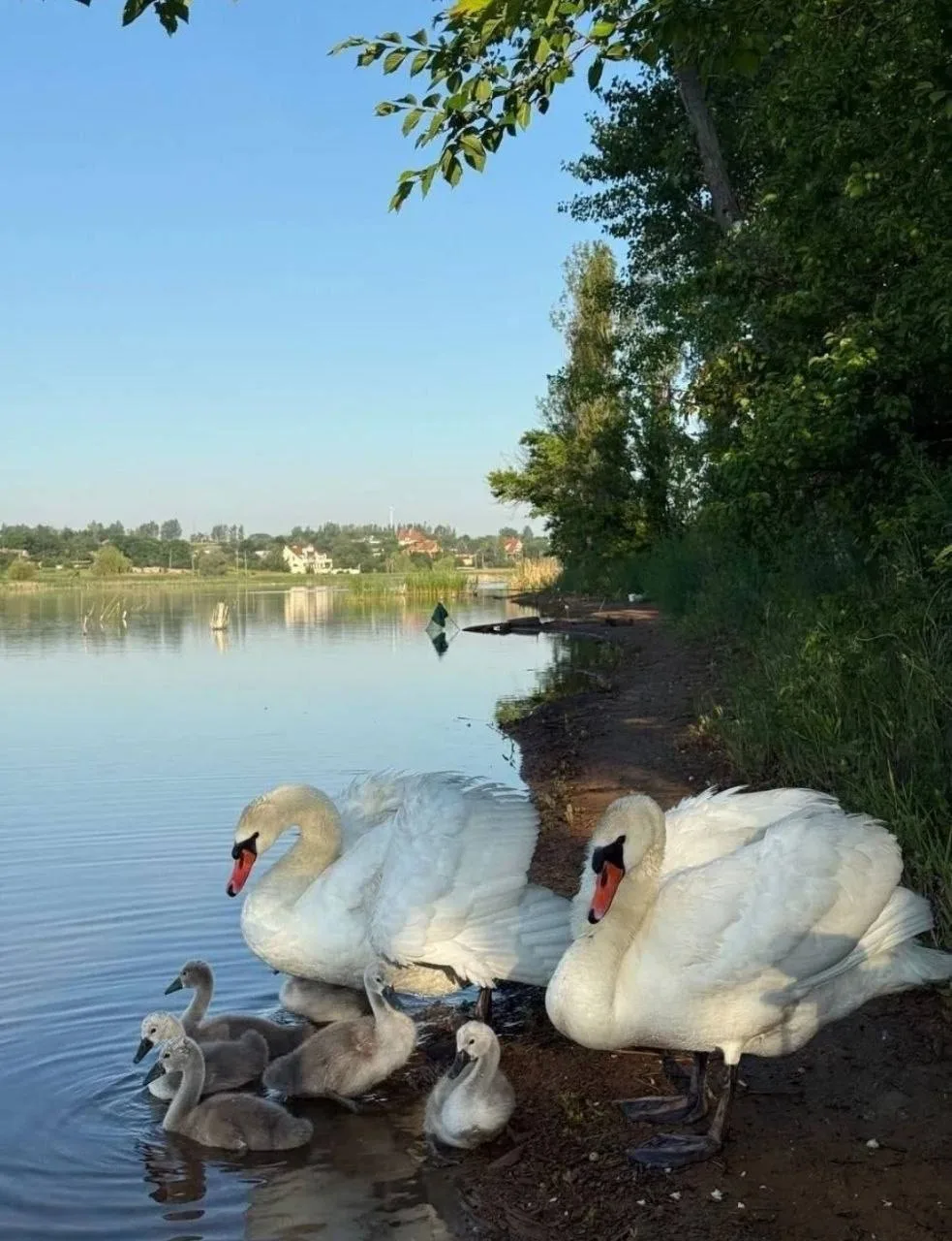 Молодое семейство на Донецком море 🥰