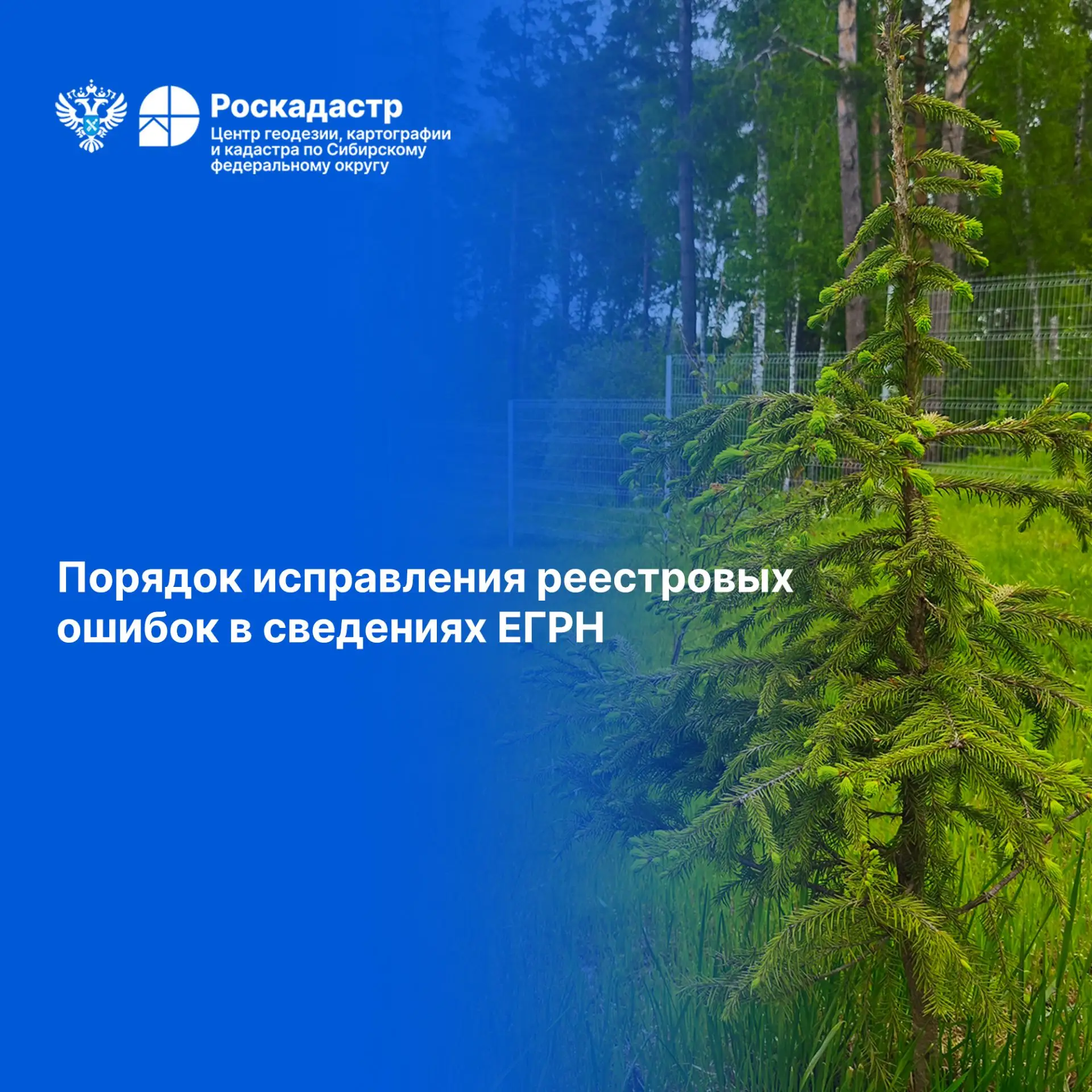 Границы участка в ЕГРН и на местности не совпадают: инструкция для собственников