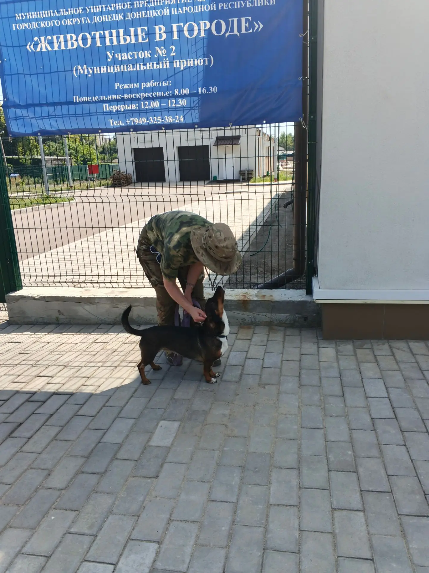 Арчи , с огромным желанием быть рядом с человеком ушел в новую семью🤗