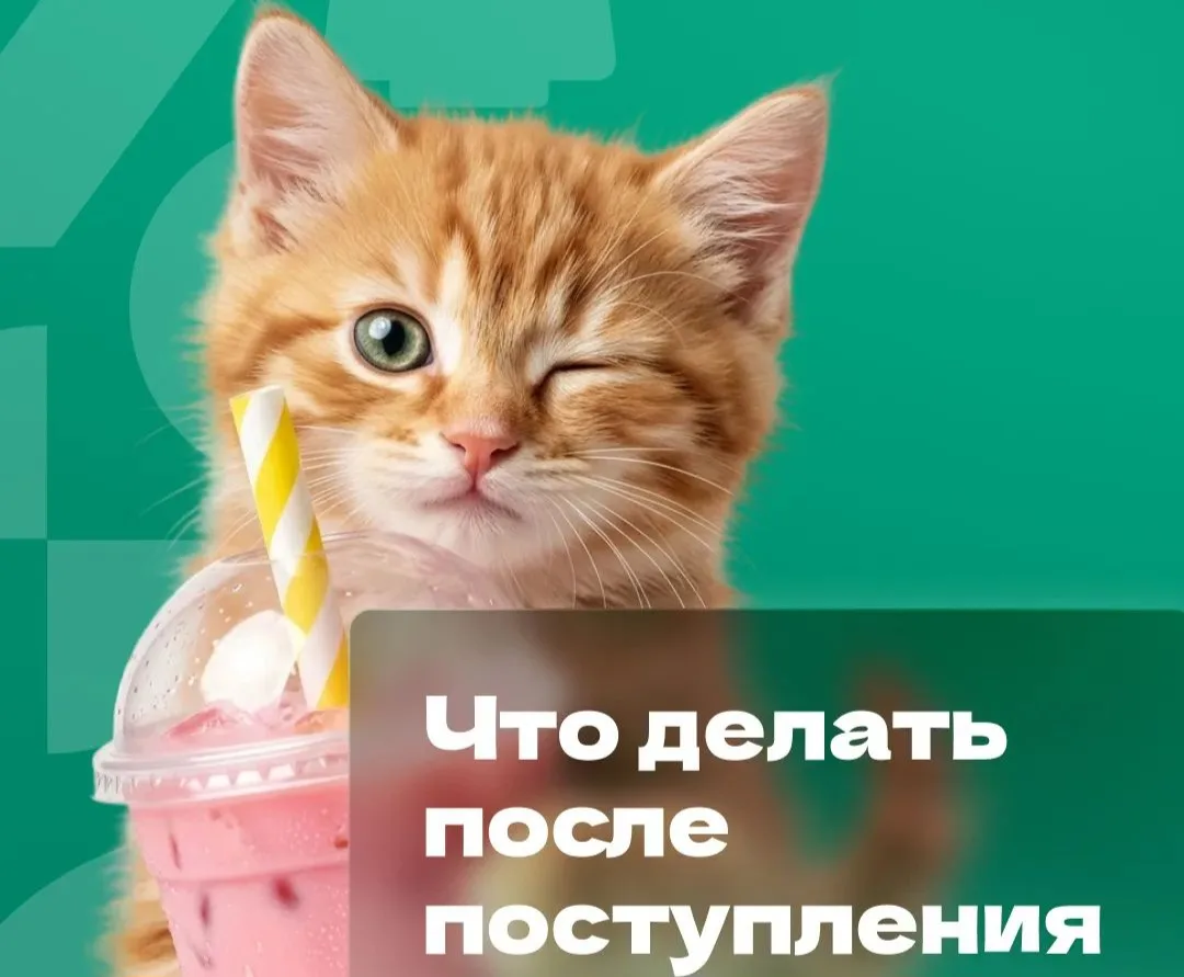 🙌 Хоп – и ты уже студент! Что дальше?