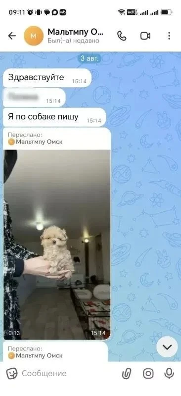 Женщина из Омска развела жителей Шарыпово на 250 тысяч рублей