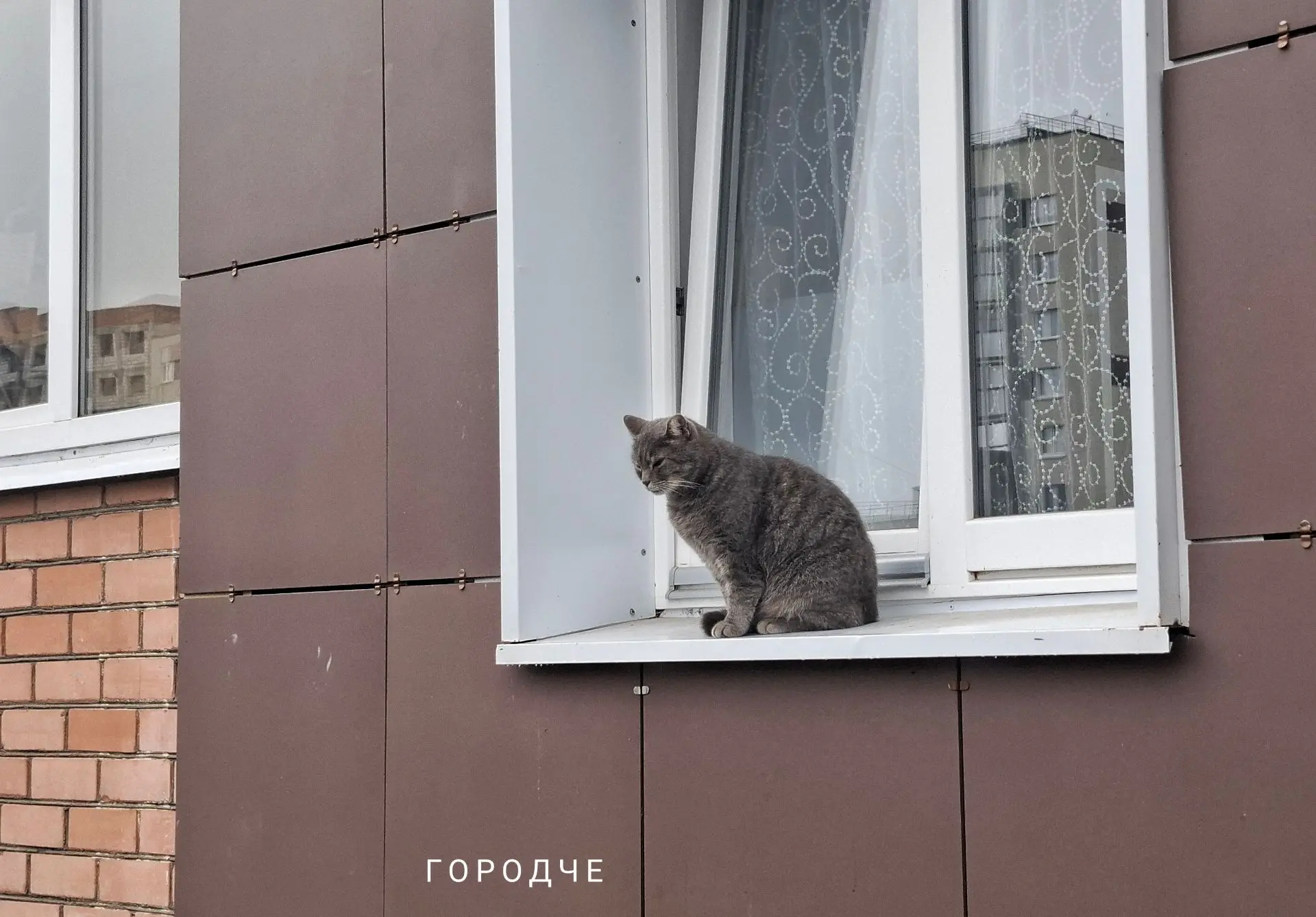 Дожди и потепление приходят в регион.