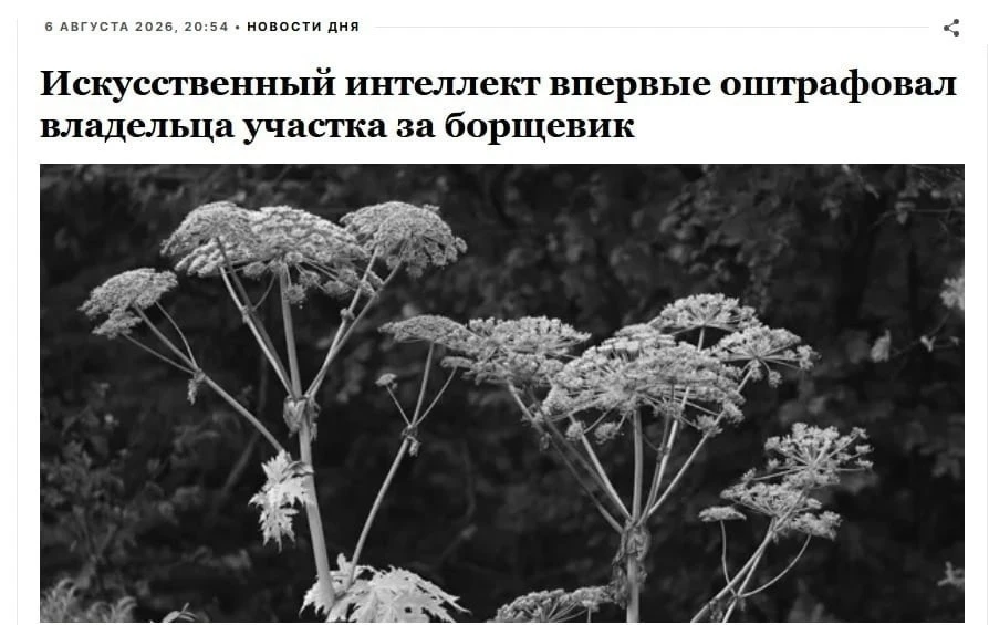 ‼️Первый штраф за борщевик с участием ИИ получил россиянин. Жителю Подмосковья выписали 150 тысяч ру