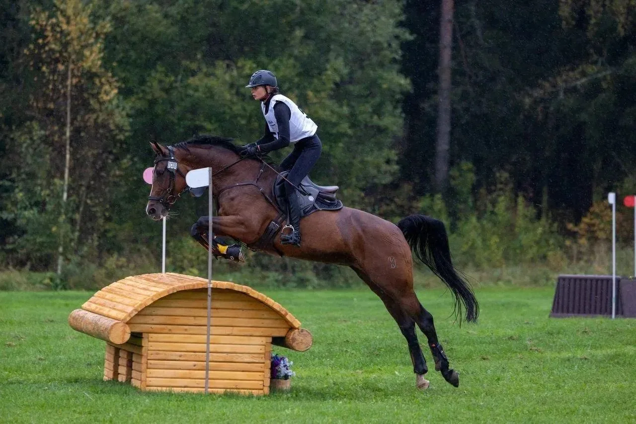 СЕДЛО ДЛЯ ЛОШАДИ 🐎