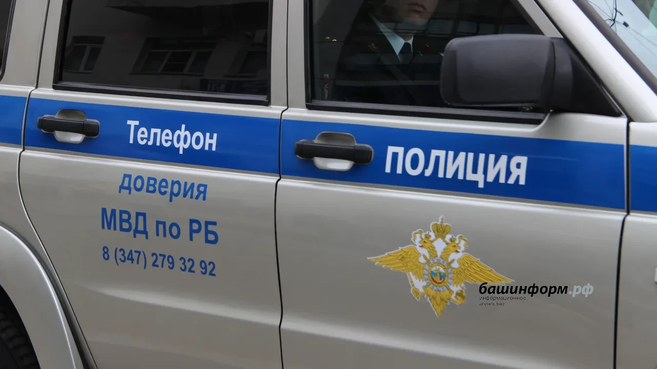 В Уфе из окна выбросили двух кошек