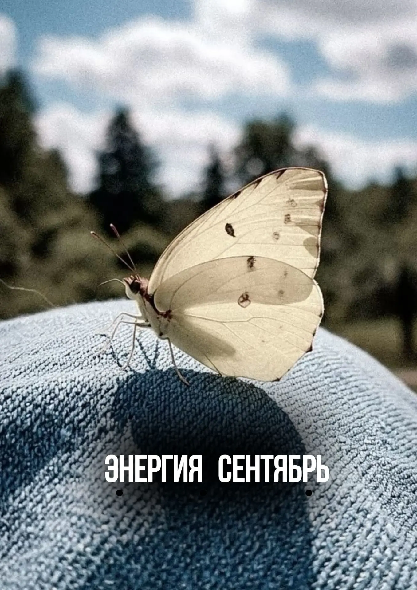 Прогноз на Сентябрь