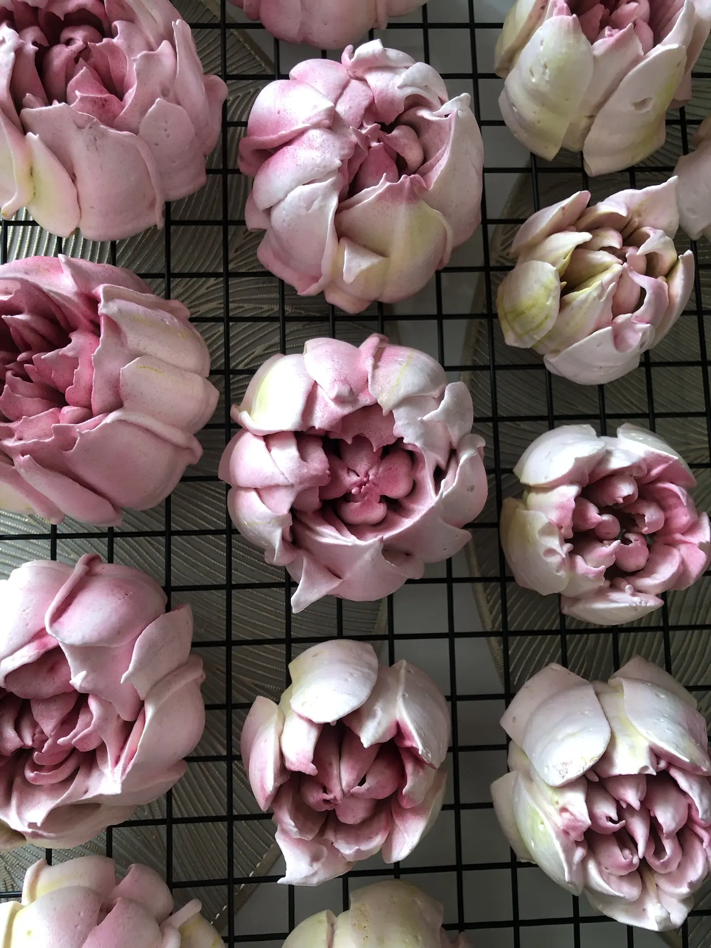 У меня цветут тюльпаны 🌷🌷🌷