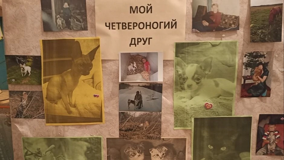 🗓️ С 5 по 7 июля в стенах Михалёвской поселенческой библиотеки прошёл фотоконкурс «Мой...