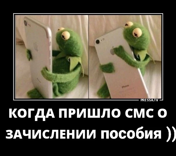 Ждём выплаты здесь 👍