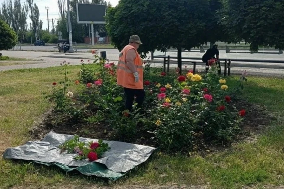 🌳 Сквер Адмирала Лунина благоустраивают

В Мариуполе сотрудники «Зеленстроя» расчищают сквер имени 