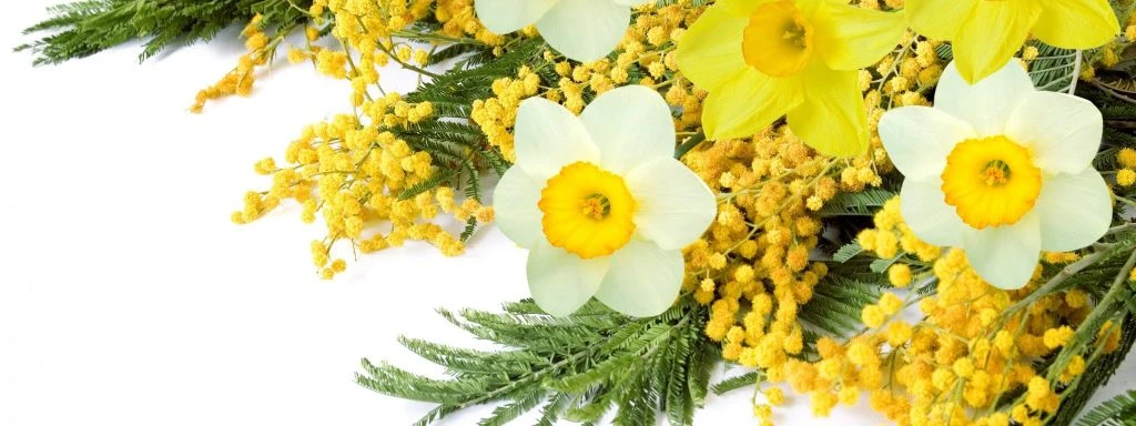 💐 Цветы 8 Марта: топ‑5 фаворитов 💐  Почему именно они?  Тюльпаны 🌷 — весна во всей красе: много отте