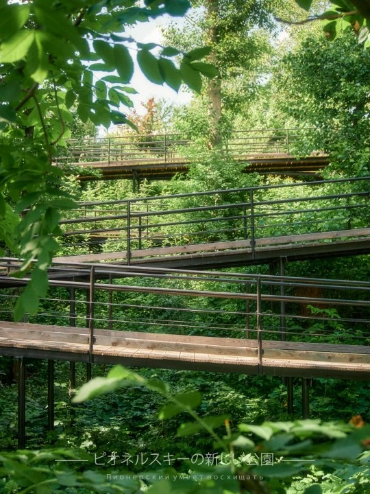 🏞 Тихий японский парк в Пионерском

Парк в Пионерском — это спокойное место, где городской шум уход