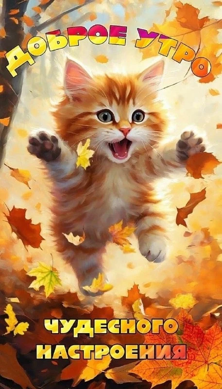 Открытки: подписаться ❤️