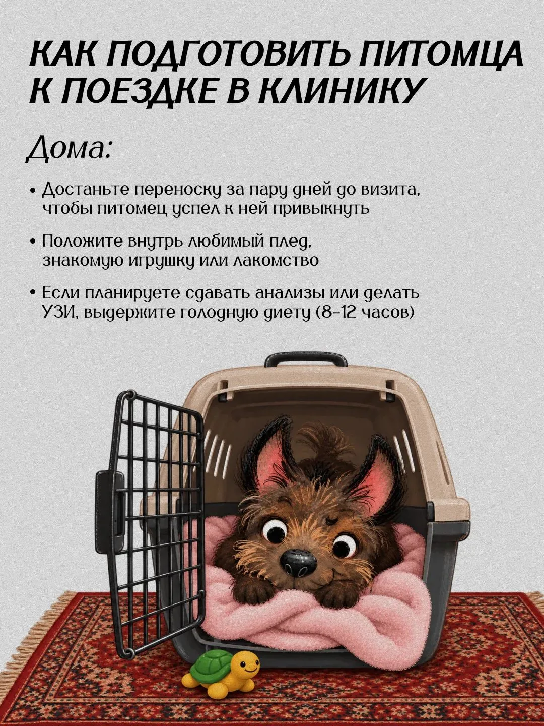 Поездка к ветеринару — огромный стресс для большинства животных.