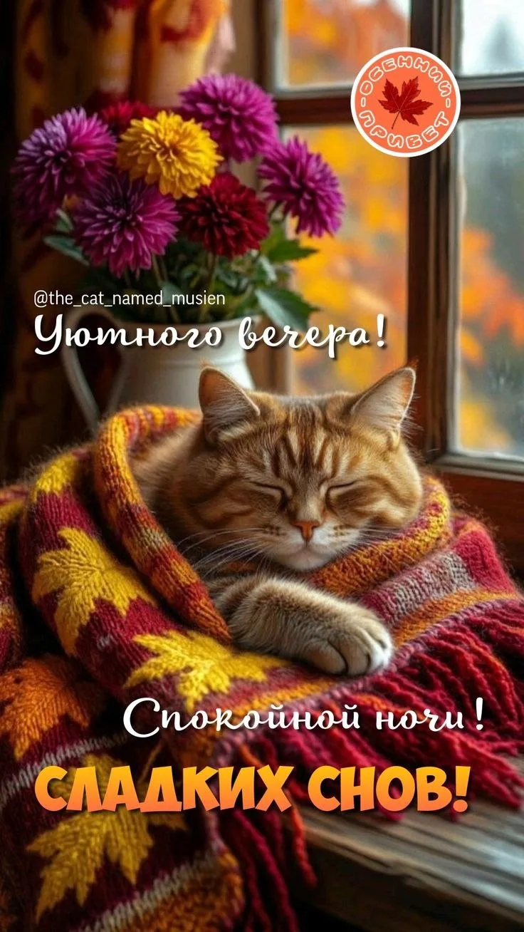 Открытки любимым 🌸🥰