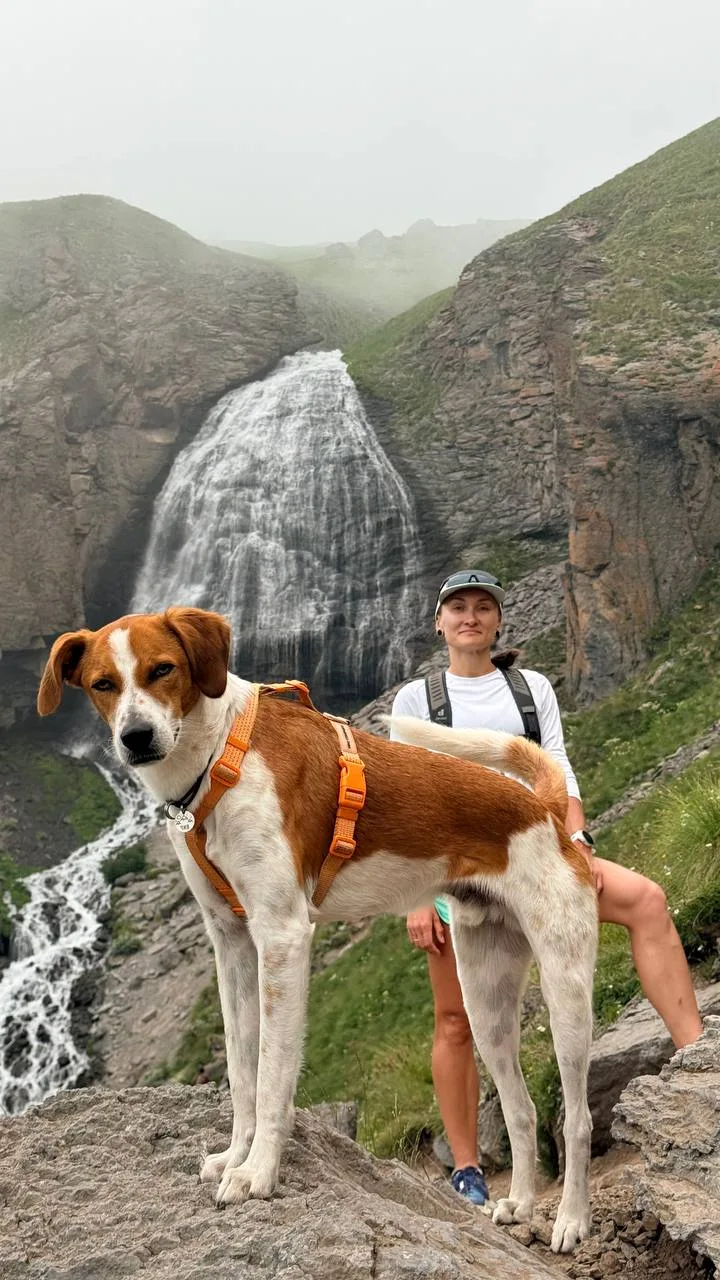 Фотоспам с водопада Девичьи косы 

Чип был какой-то гипер фотогеничный, еще и садился будто специаль