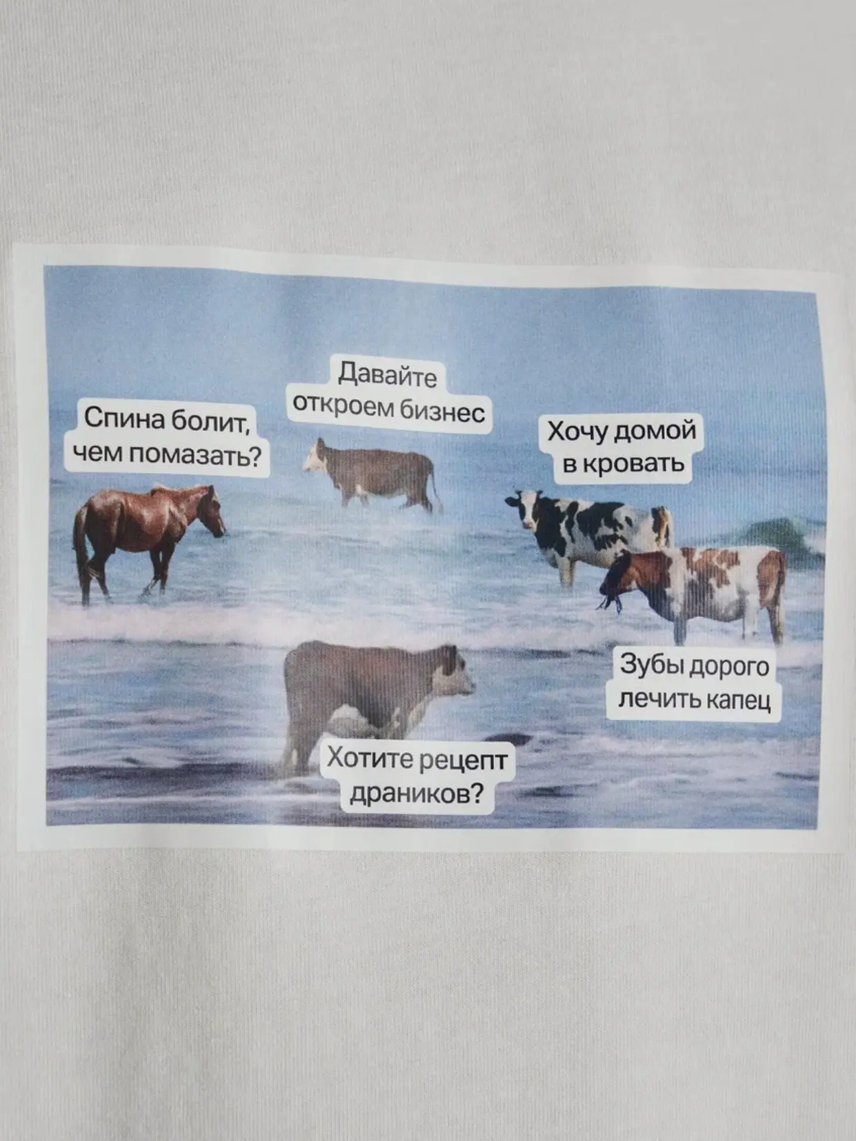 Наши разговоры с друзьями на шашлыках….  футболка