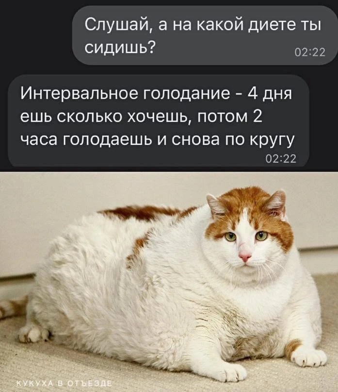 Кукуха в отъезде 🐦
