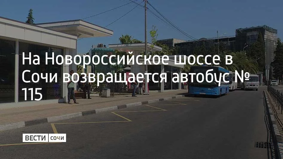 С 1 августа автобус №115 снова начнет ходить по Новороссийскому шоссе, рассказали в департаменте тра