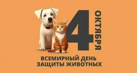 4 октября - Всемирный день защиты животных!