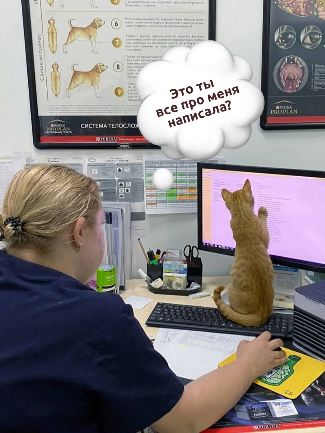 Голос из ниоткуда! 👻 Или... Почему мы говорим ЗА своих питомцев?
