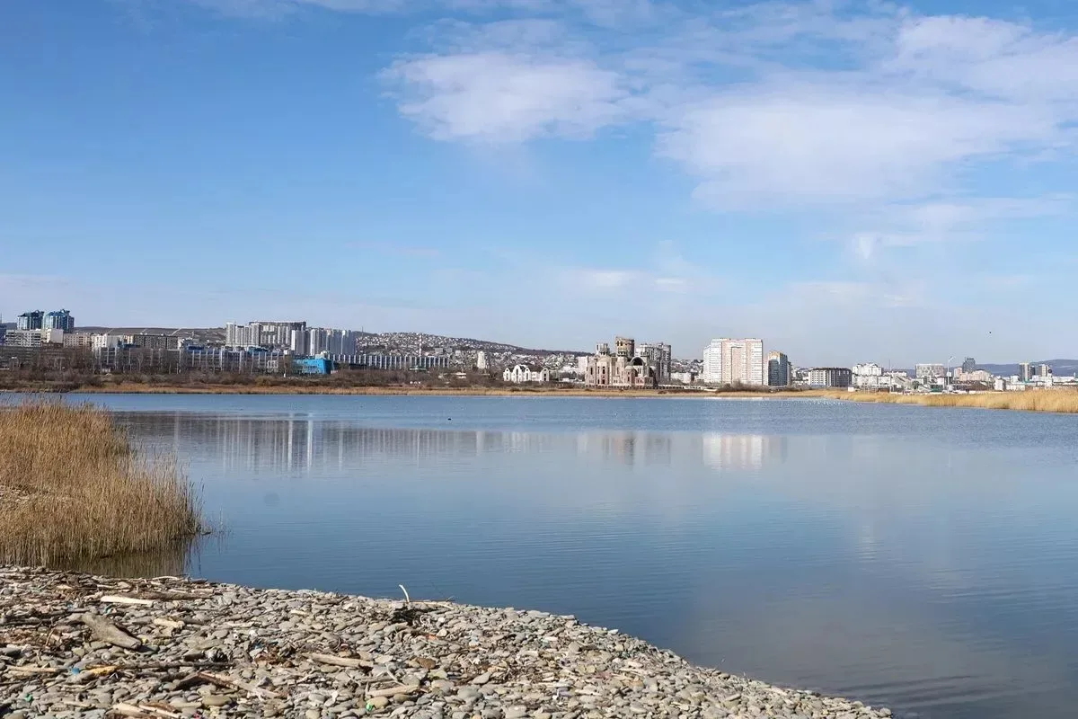 ✅ В Новороссийске нашли водоросль, которую 30 лет считали исчезнувшей.