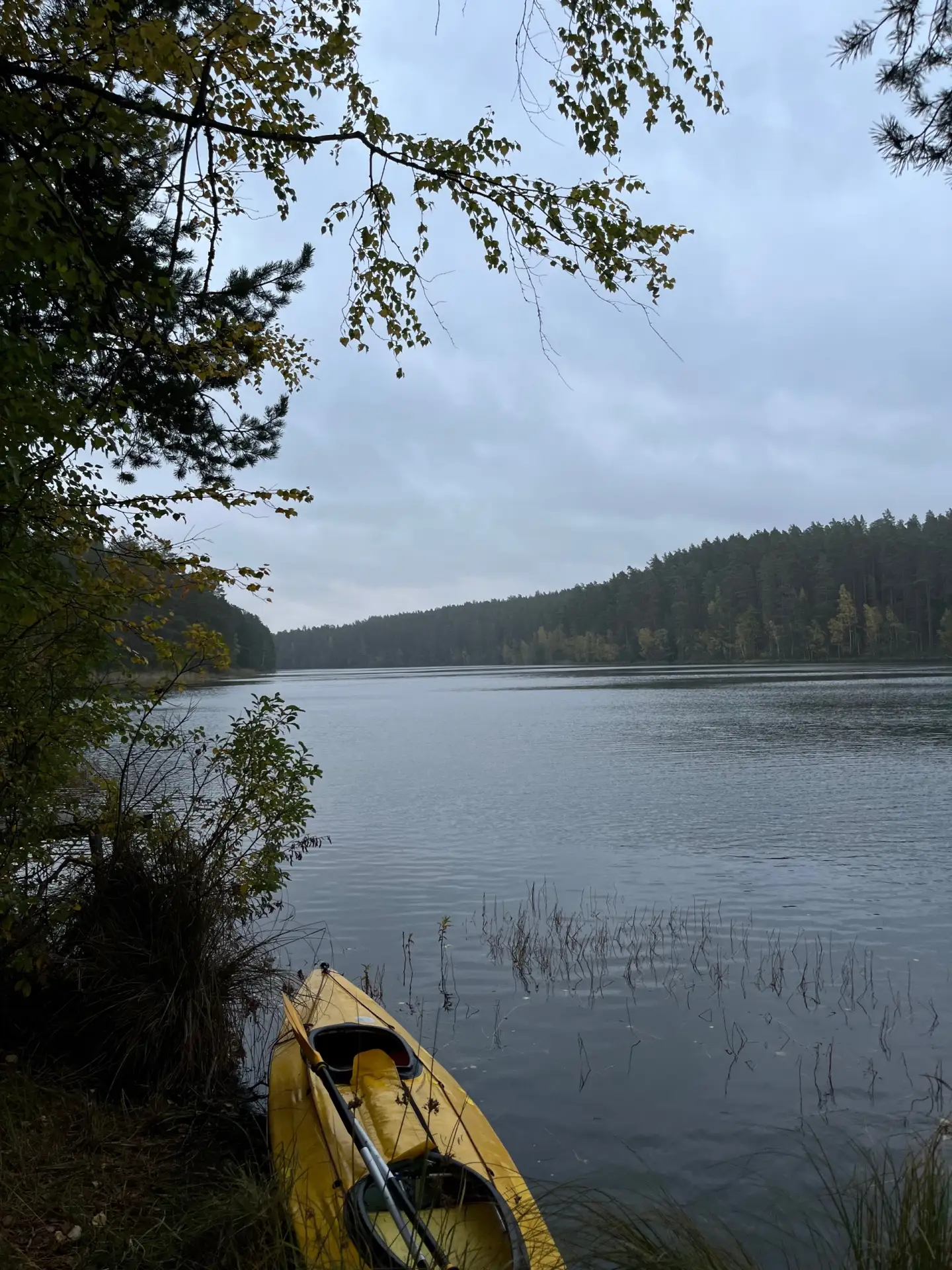 🏕️Турклуб «Шёпот Костра» на турслете ИТМО