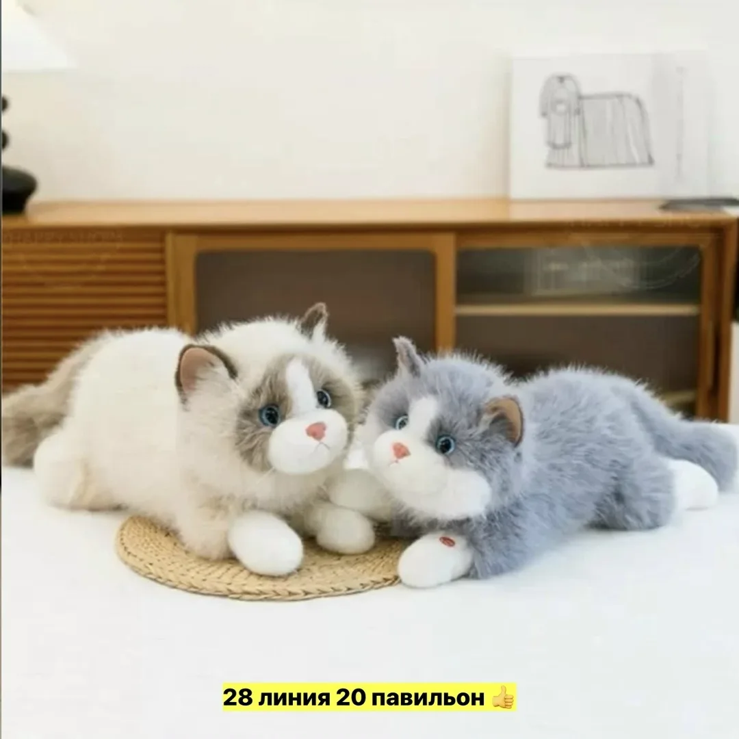 https://vk.com/photo-184814919_493305971