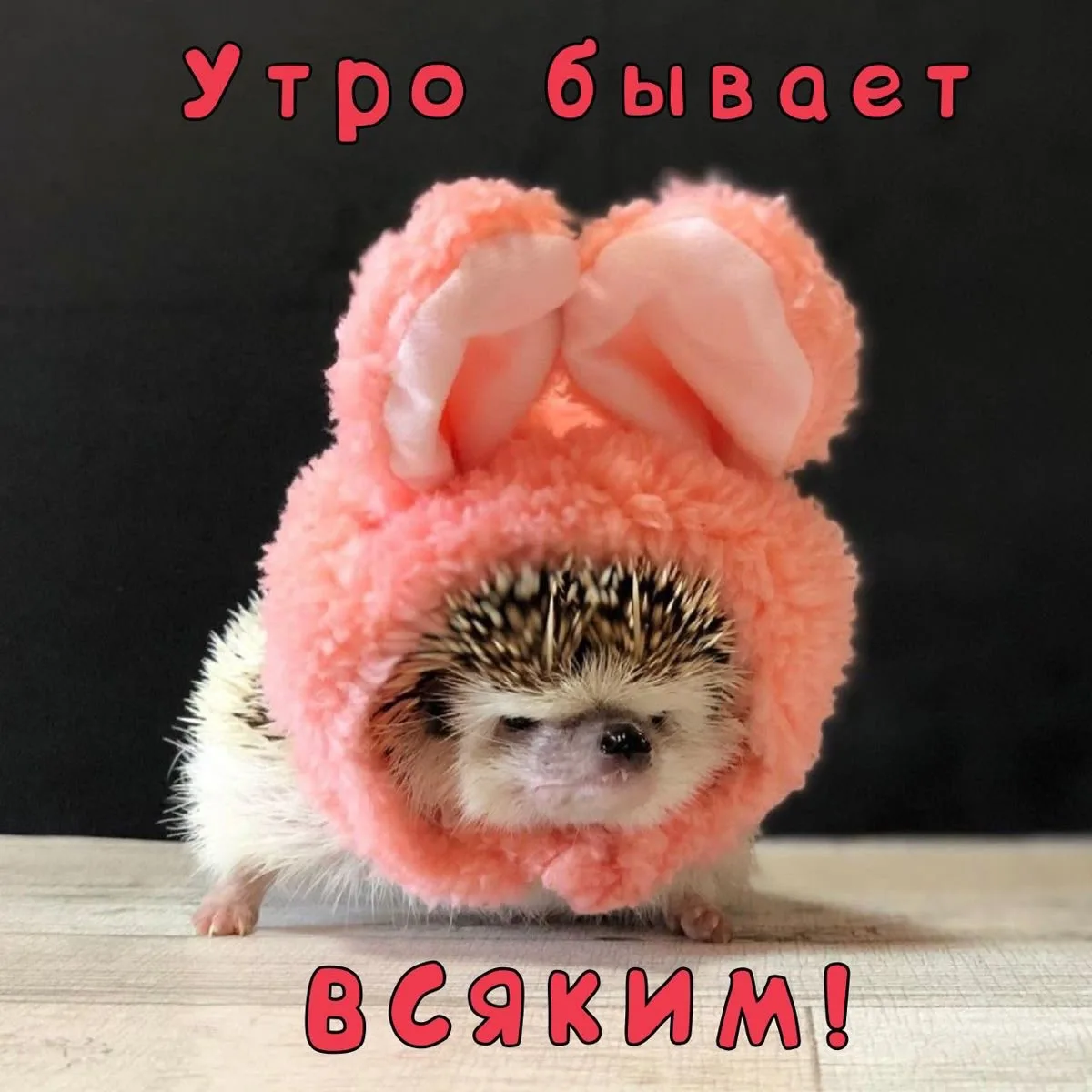 Список качественных каналов в МАКС | Смотреть ❤️