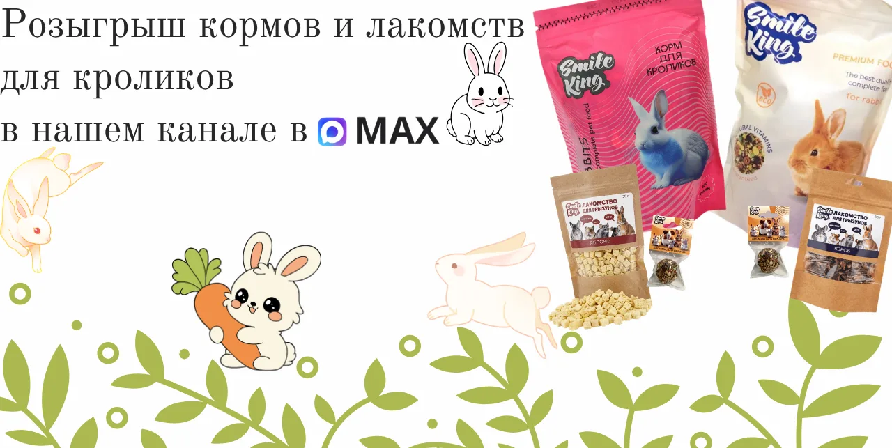 🎒🐰 1 СЕНТЯБРЯ — ВРЕМЯ СОБИРАТЬСЯ В ШКОЛУ!