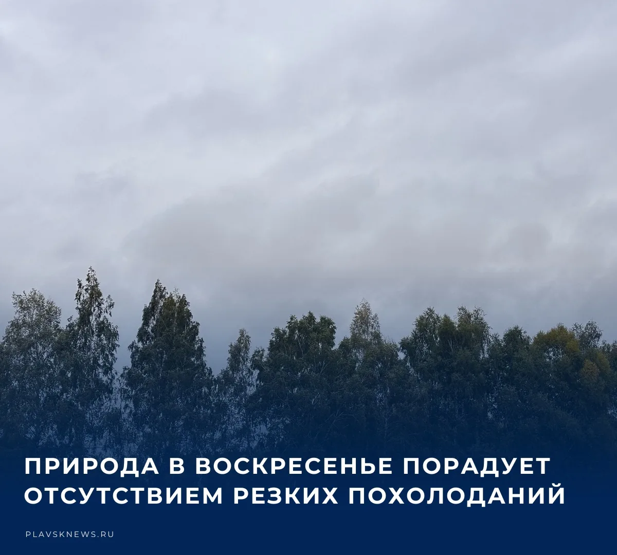 ☁️ 4 октября жителей региона ожидает пасмурная погода. По данным метеорологов, температ...
