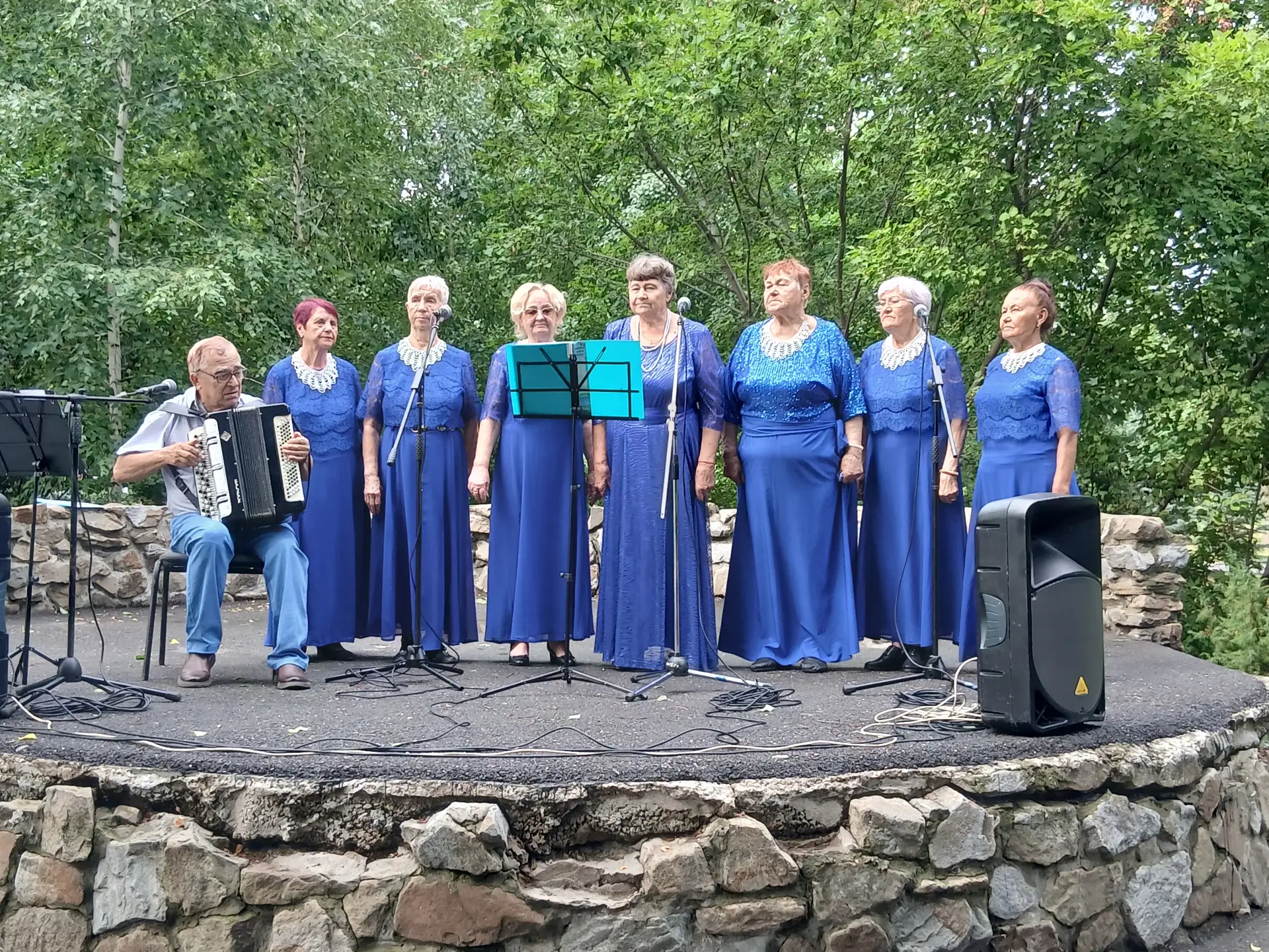 🎼  В Парке «Гидростроитель» состоялся концерт ансамбля «Ивушки» (руководитель Вячеслав...