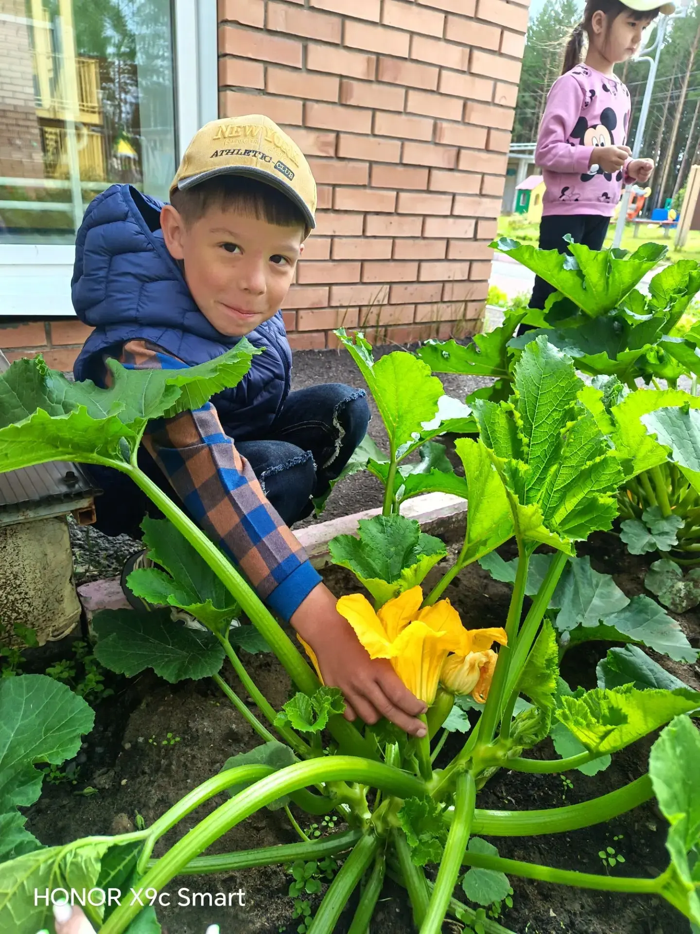 Занимательный 🌞летний огород🥦🥕 в детском 🏠саду  — лучший способ привить детям 👫любовь🥰 к приро