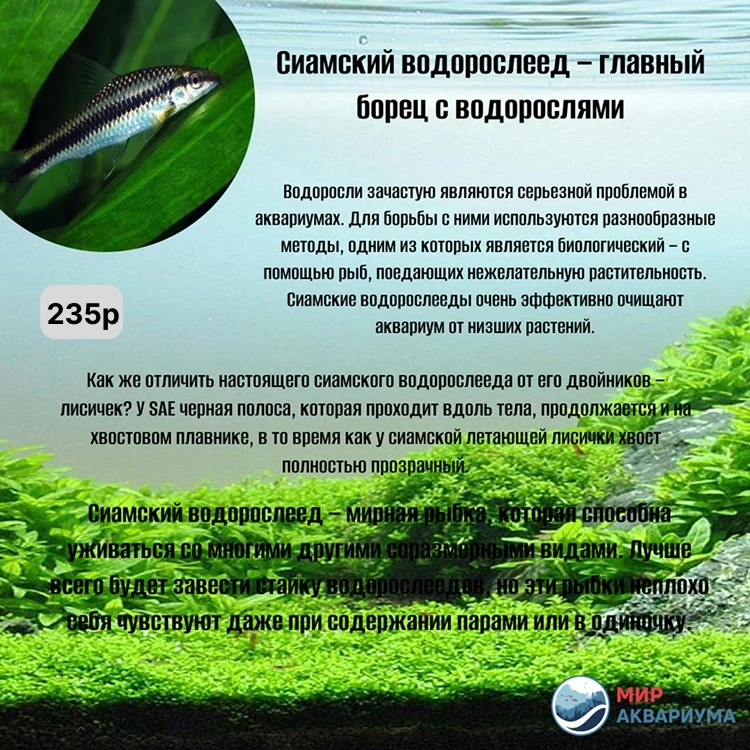 Мы ждём вас в гости каждый день:
Пн-Вс: с 10.00 до 20.00
г. Тюмень, ул. А. Логунова 4
г. Тюмень, пр.