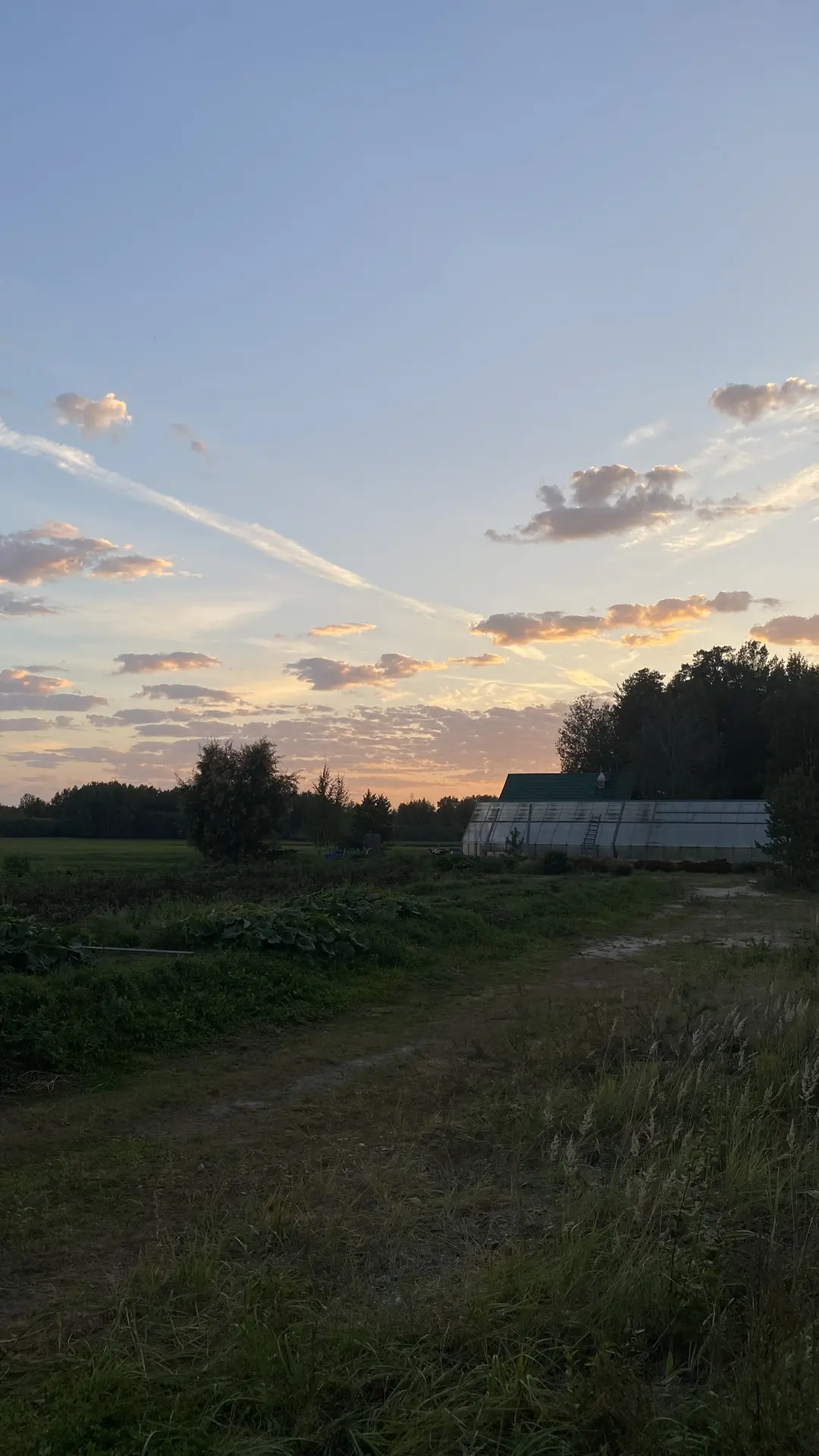 Красивый вечер в Хуторке♥️