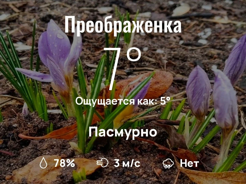 Что с погодой в Преображенском?