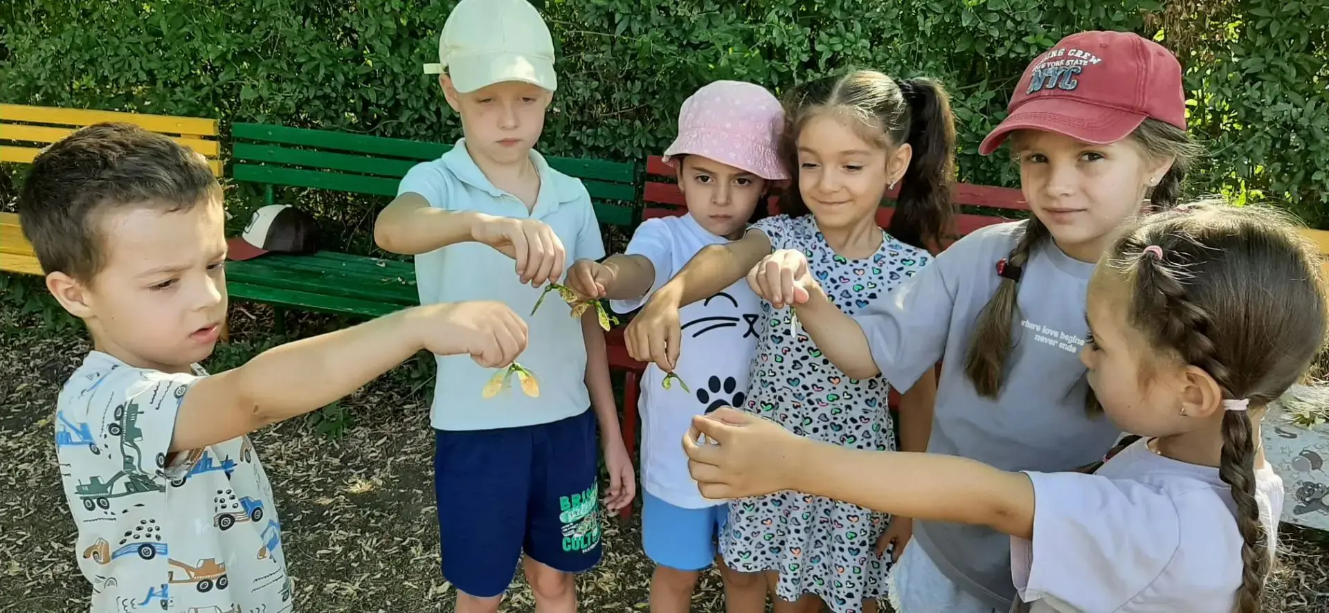 Наши летние открытия: наблюдаем за природой! 🌳 🌞☘🌲