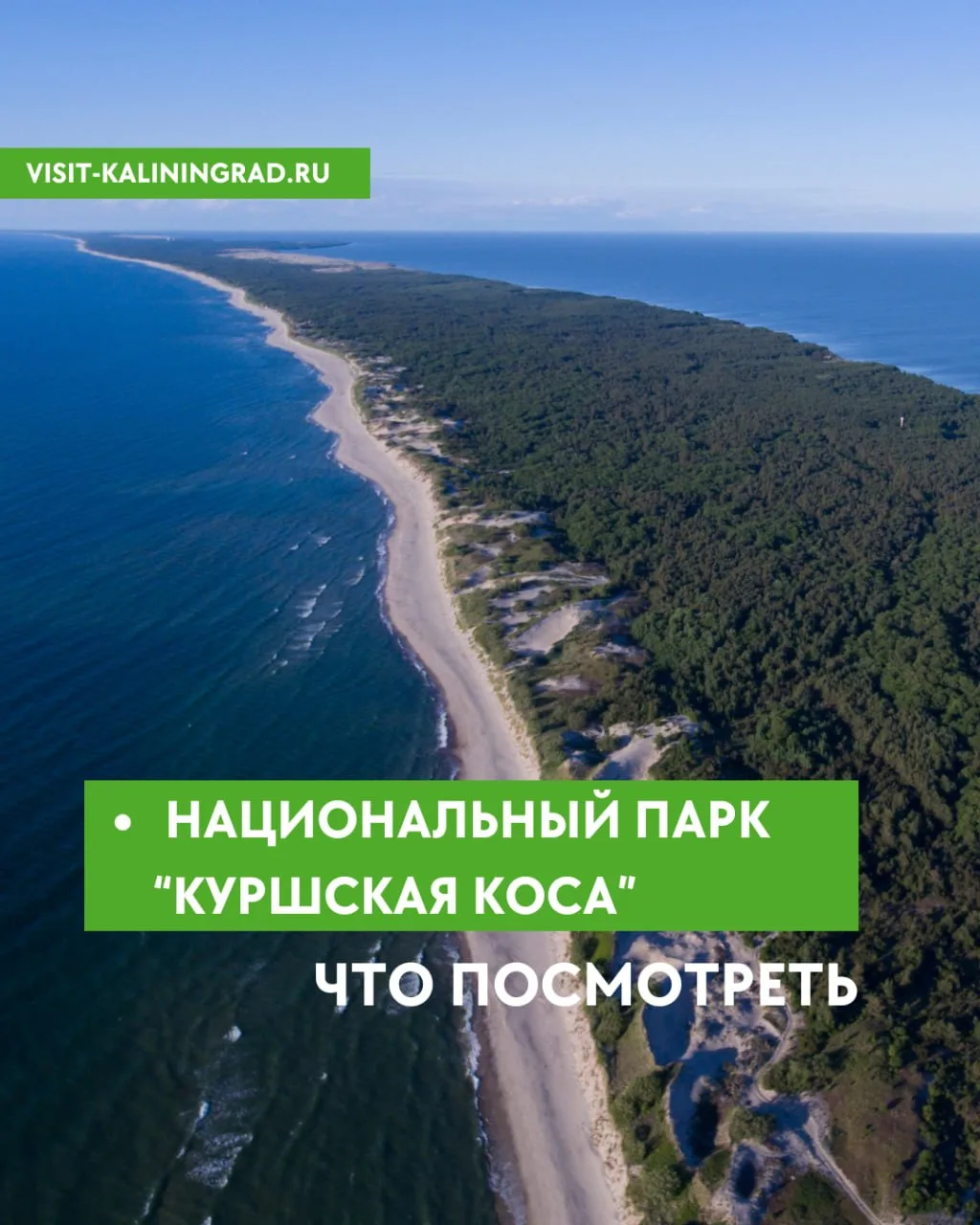 🌿Что посмотреть на Куршской косе?