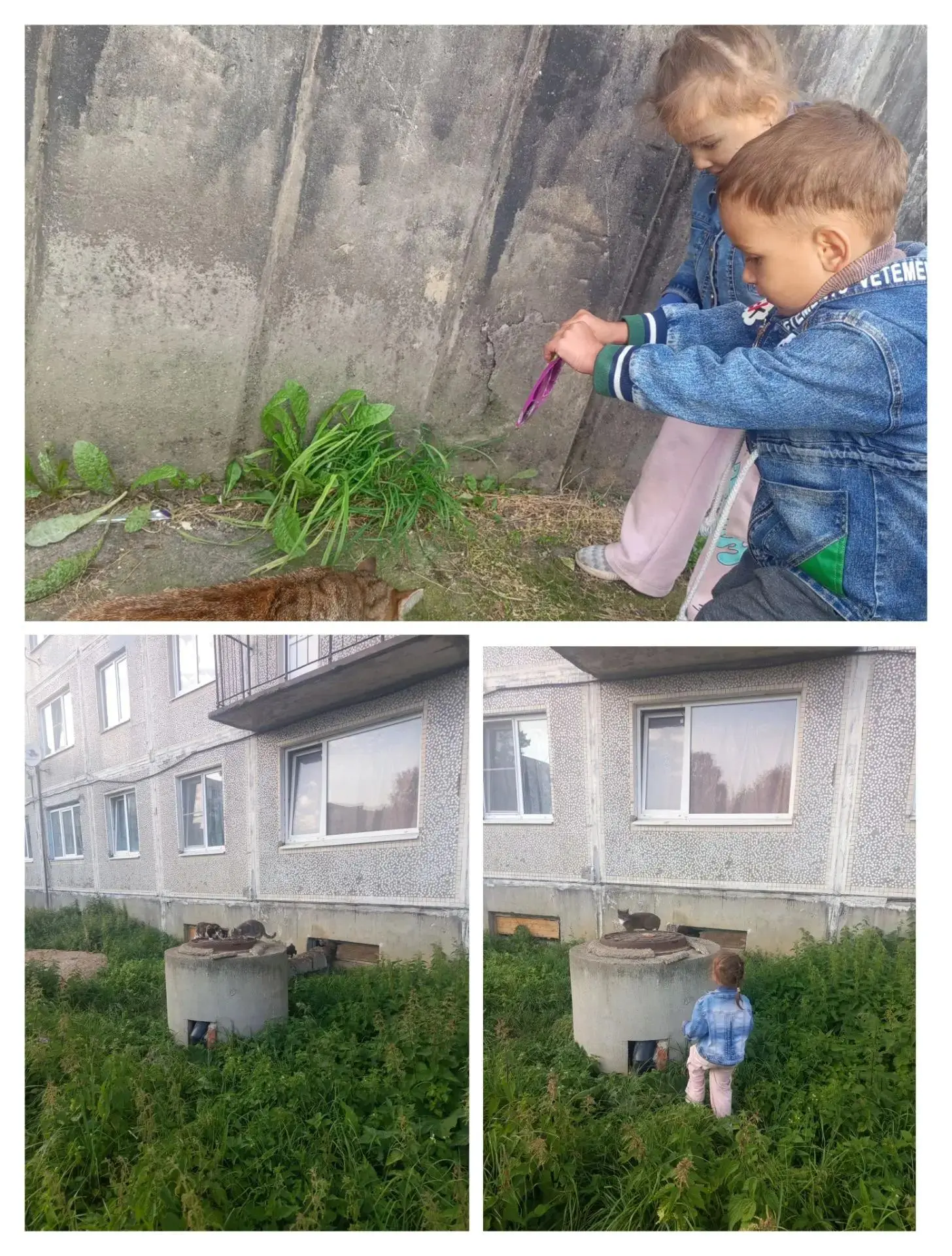 «Маленький поступок = большая жизнь». Пусть каждый день начинается с добра!