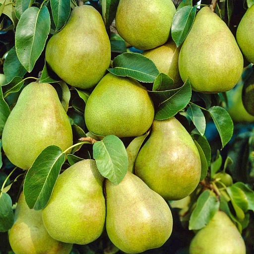 🍐 Эти груши хочется посадить сразу все — чтобы осенью и зимой в саду было не только красиво, но и о