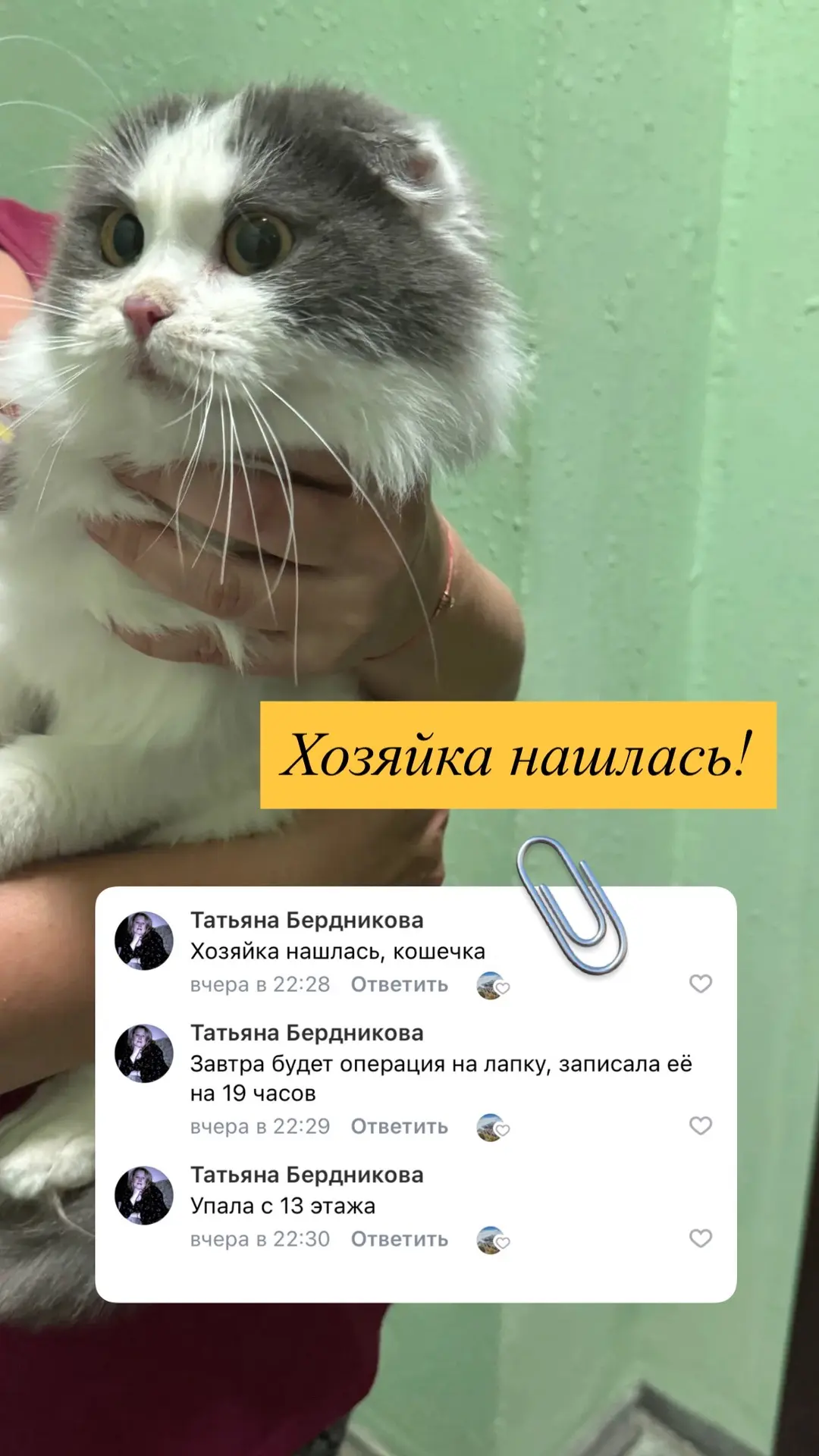 Хозяйка нашлась!