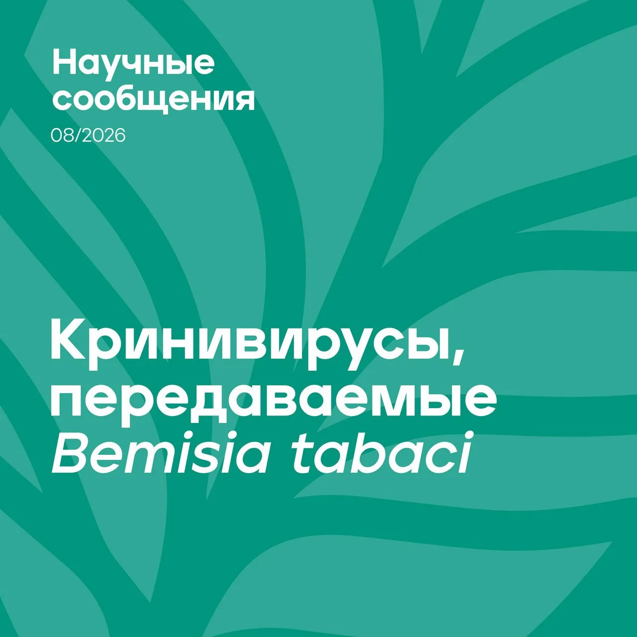 Дорогие друзья!