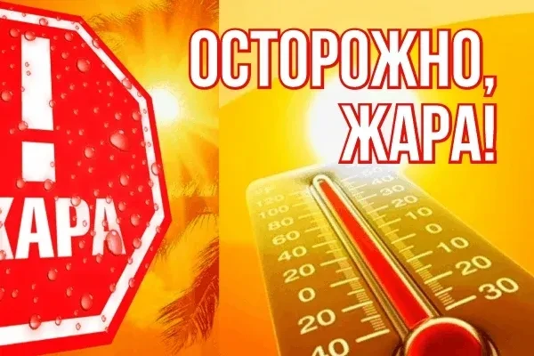 Жаркое лето — это время, когда нужно быть особенно осторожным и внимательным к своему з...