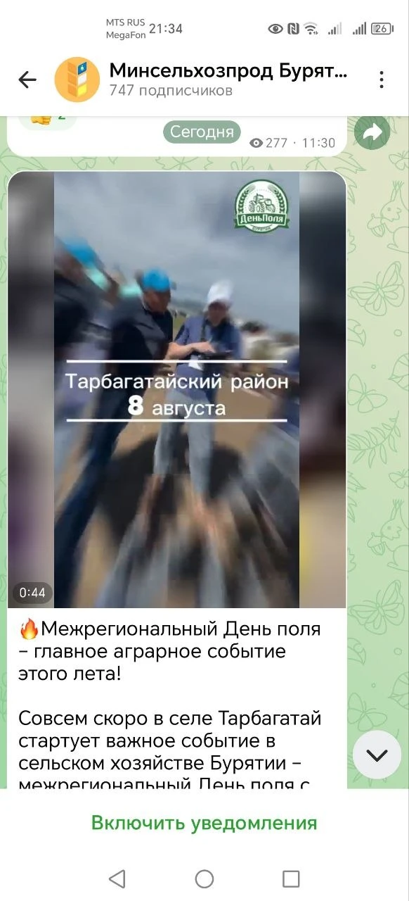 На те же грабли...
Из серии - опять едем на ярмарку и теряем целый день...
Ещё в прошлом году решила