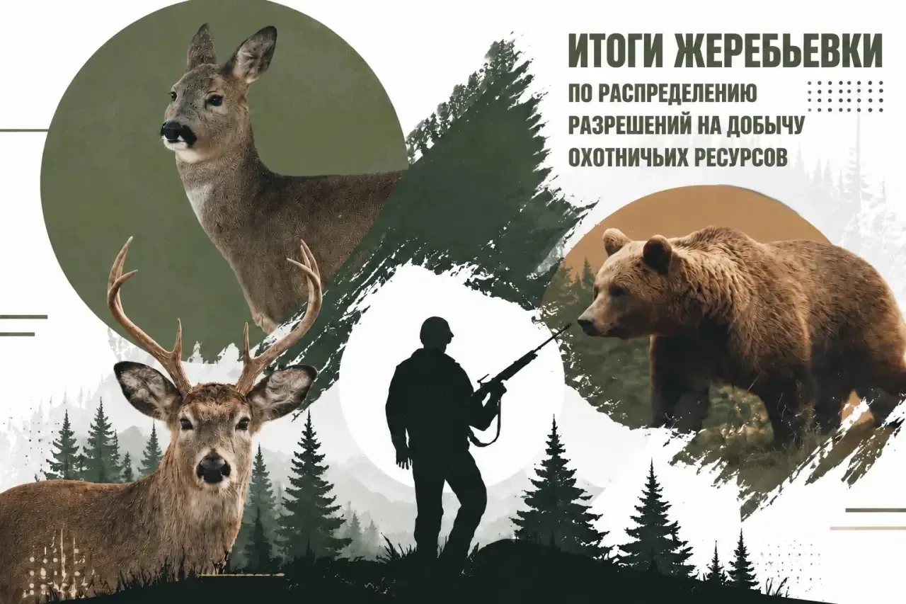 🫎 Почти 2,9 тысячи охотников в Якутии получили разрешения по итогам жеребьёвки